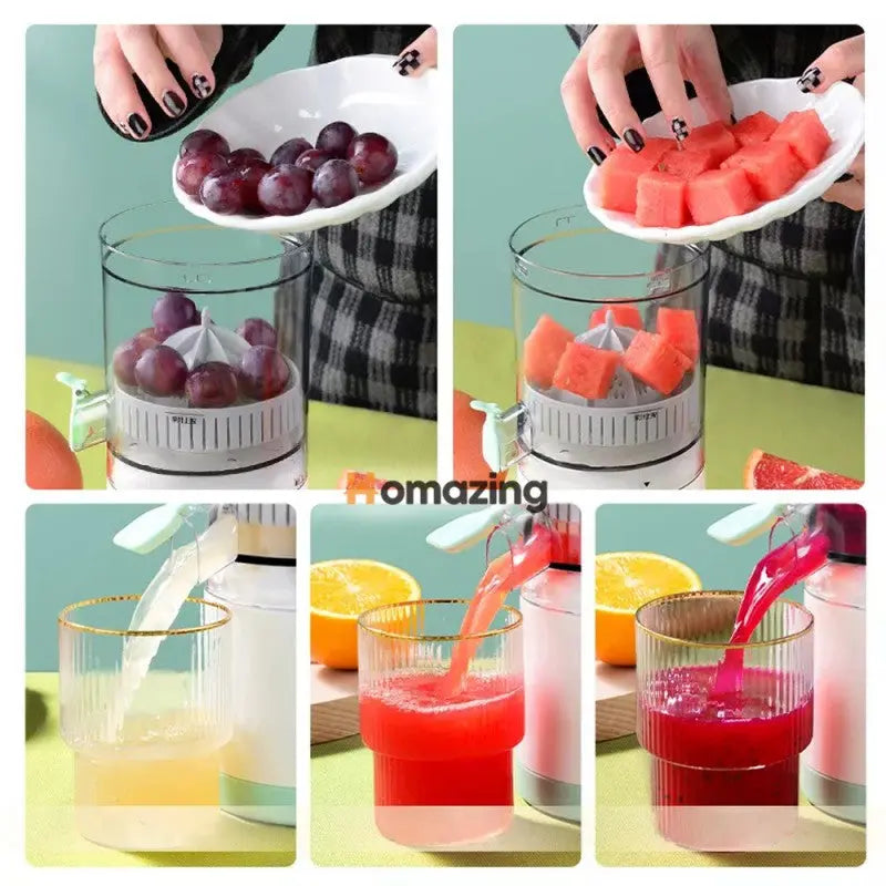 Citrus Juicer